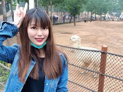 -大连森林动物园