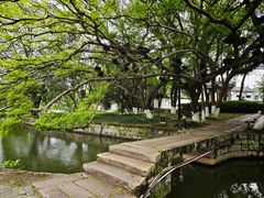 -江心屿景区