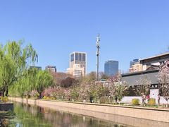 -元大都城垣遗址公园