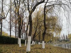 -洋湖国家湿地公园