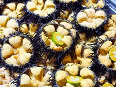 -鲜得莱渔港·小平岛海胆馆(七贤岭店)