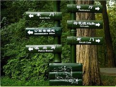 -紫竹院公园冰场