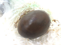 iphone_upload_pic-阿婆五香蛋(水游城店)