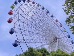 -温州乐园