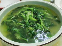 生态鸡毛菜-西新饭店(城中店)