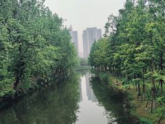 -洋湖国家湿地公园
