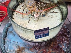 -强记海鲜·大排档(蛇口新街店)
