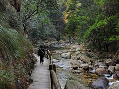 -祁门牯牛降观音堂风景区
