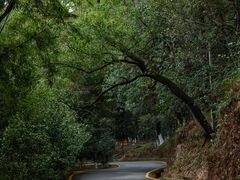 -分塔山省级森林公园