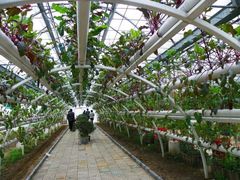 景点-祥源·阜阳生态乐园