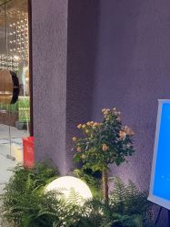 点击看大图 -花隐·美芙炫海菲秀皮肤管理中心