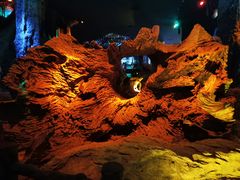 -乐山乌木文化博览苑