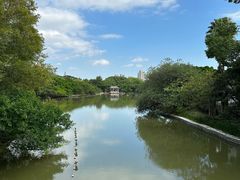 -江心屿景区