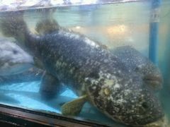 -渔民新村(番禺总店)