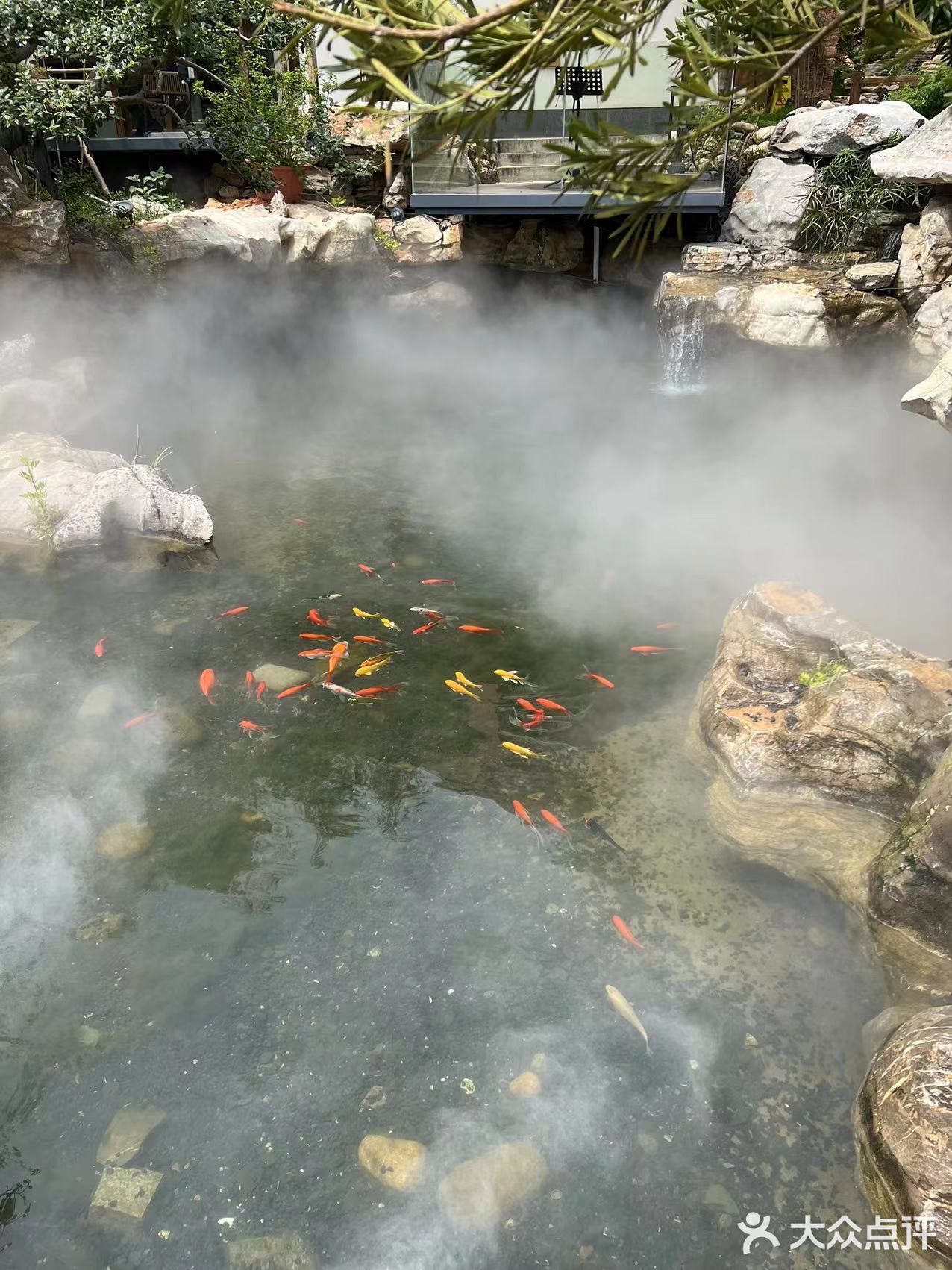 遛娃聚餐好去处~藏在郊区的宝藏餐馆