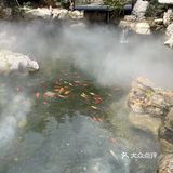 遛娃聚餐好去处~藏在郊区的宝藏餐馆