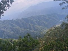 -王顺山国家森林公园