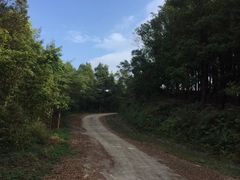 -广州市帽峰山景区