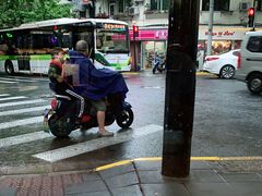 -WHEN PIGS FLY当猪飞