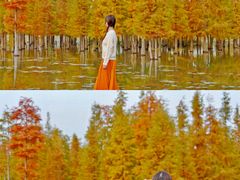 -白鹭湾湿地公园