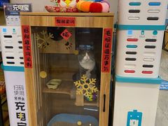 -网鱼电竞·棋牌(五一广场店)