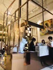 -OnHair Salon
