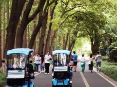 -采石矶景区