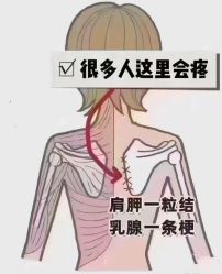 -丽减美瘦吧·减肥瘦身