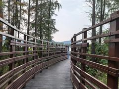 -东湖落雁景区