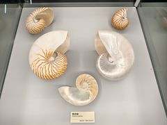 -天津古林古海岸遗迹博物馆