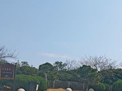 -普陀山风景名胜区-法雨禅寺