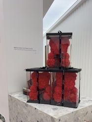 -Dr.U博士医疗美容医院
