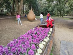 -东湖落雁景区
