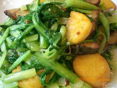 窝头鲅鱼-大清花饺子(五五路店)