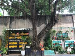 -圣约瑟夫大教堂