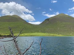 -莲宝叶则景区