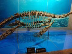 -自贡恐龙博物馆