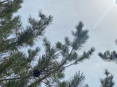 -敦煌市博物馆