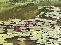 -东莞植物园