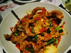 鸭掌筋-壹盏灯(蚂蚁工房店)
