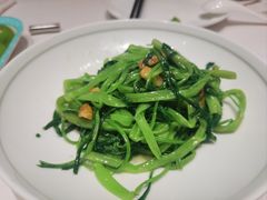 清炒鸡毛菜-北京厨房(SKP店)