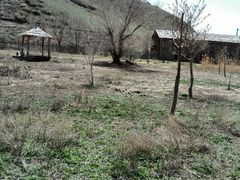 android_upload_pic-新疆天山野生动物园