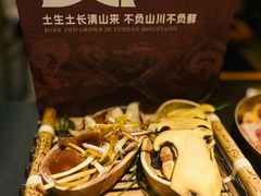 -季季山·云南野生菌火锅(上海首店)