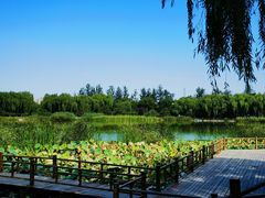 -燕郊植物园