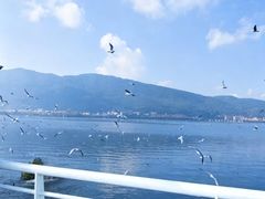-大理洱海