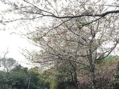 -昆山城市公园