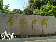 -青枫公园