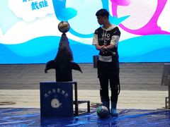 -Mr·Kuma酷么先生雪之乐园