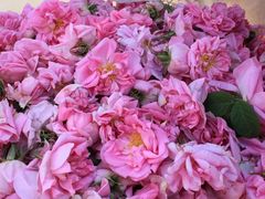 -白沙门生态公园