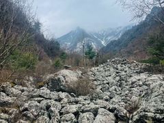 -陕西省红河谷森林公园